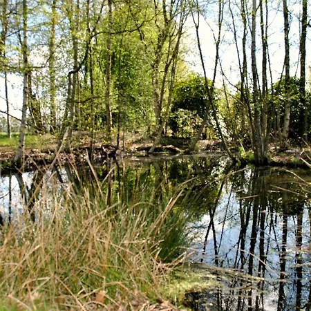 Buntes Moor Bed & Breakfast Grasberg