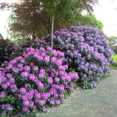 Buntes Moor 3* Grasberg