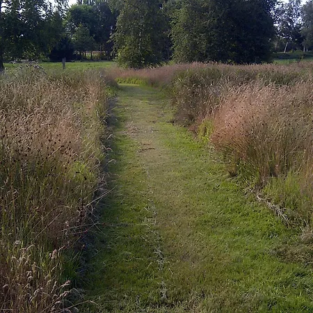 Buntes Moor فندق مبيت وإفطار Grasberg