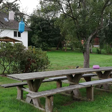Buntes Moor
