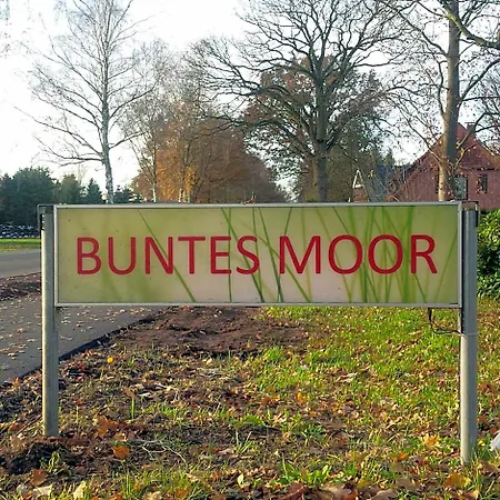 Buntes Moor