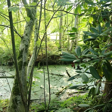 Buntes Moor فندق مبيت وإفطار Grasberg