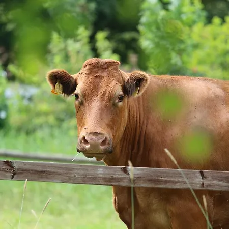 Buntes Moor 3* Grasberg