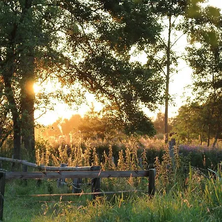 Buntes Moor 3* Grasberg