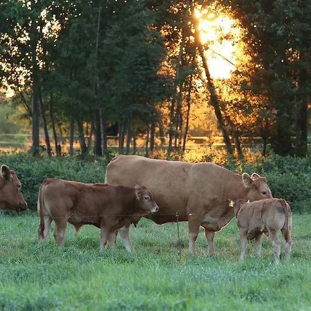 Buntes Moor فندق مبيت وإفطار