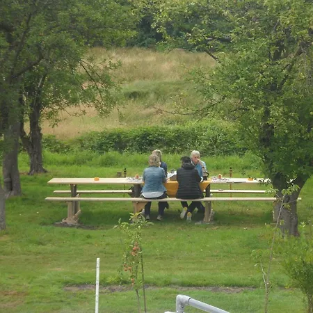 Buntes Moor Grasberg