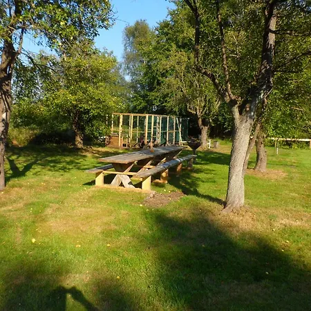 Buntes Moor Grasberg