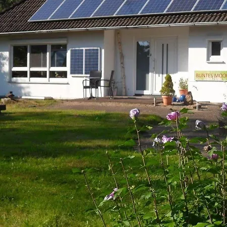 Buntes Moor Grasberg