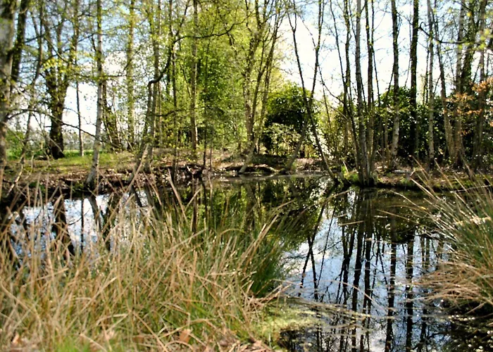 Buntes Moor Отель типа 