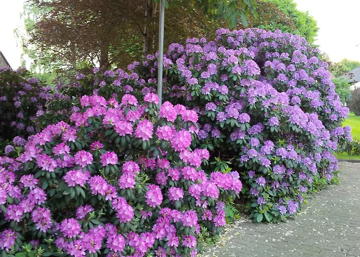 Buntes Moor 3* Grasberg