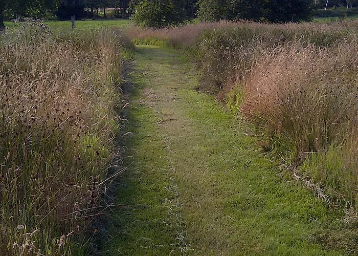 Buntes Moor Отель типа 