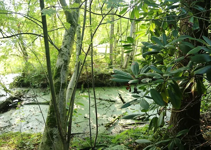 Buntes Moor Отель типа 