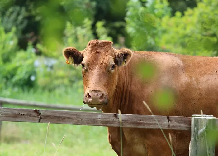 Buntes Moor 3* Grasberg