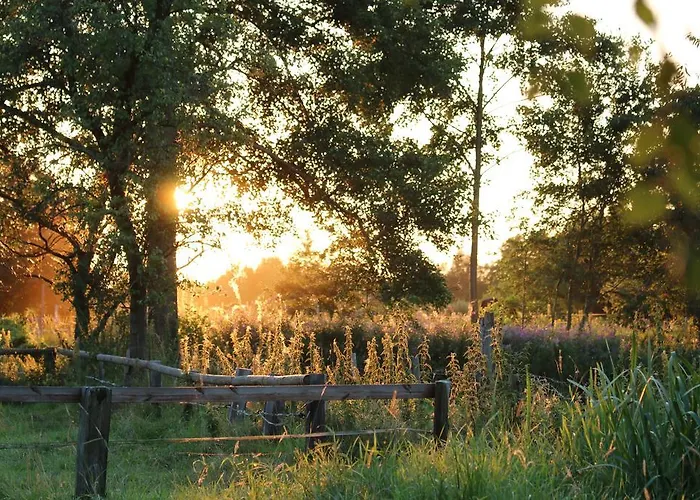 Buntes Moor 3* Grasberg