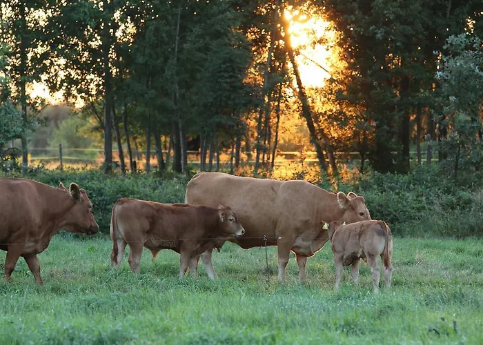 Buntes Moor Отель типа 