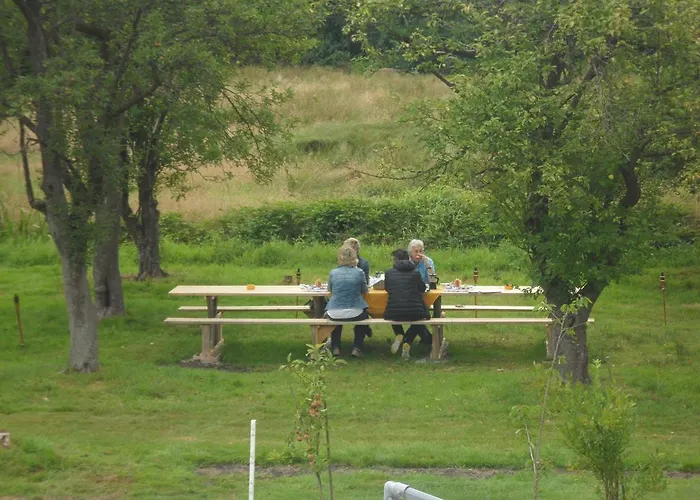 Buntes Moor Grasberg