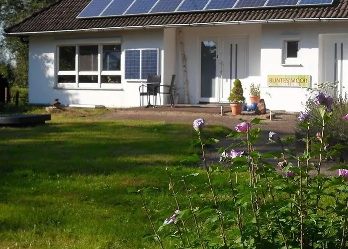 Buntes Moor Grasberg